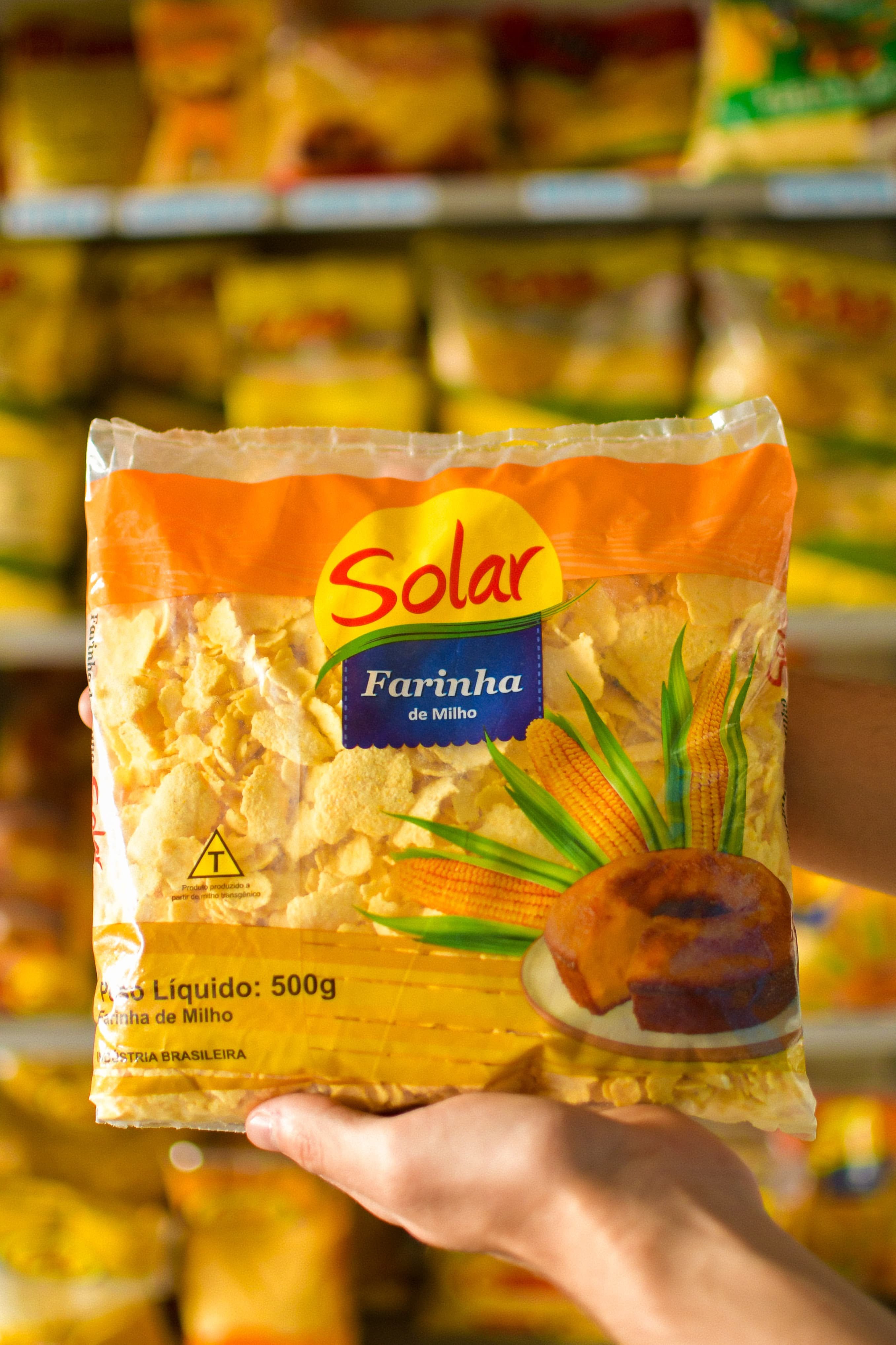 Plantação Solar 4