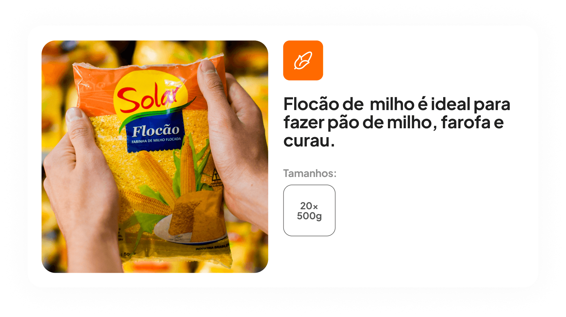 Processo Flocão